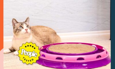 The Finest Cat Provides, Examined by Actual Cat House owners