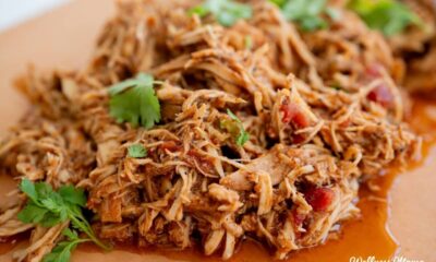 Straightforward Crockpot Salsa Hen