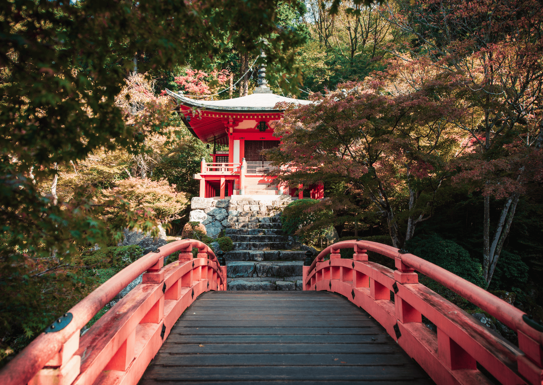 Our Extremely Information on 30 Issues To Know Earlier than Visiting Japan Our Extremely Information on 30 Issues To Know Earlier than Visiting Japan