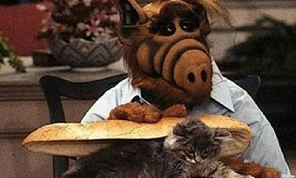 Alf Cat Memes Surge Following Trump’s ‘Consuming Pets’ Declare