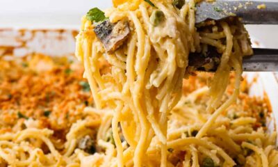Rooster Tetrazzini Casserole | The Recipe Critic