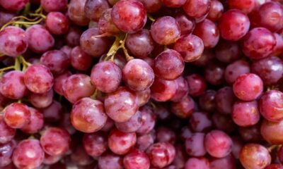 How To Retailer Grapes So They Final For Weeks