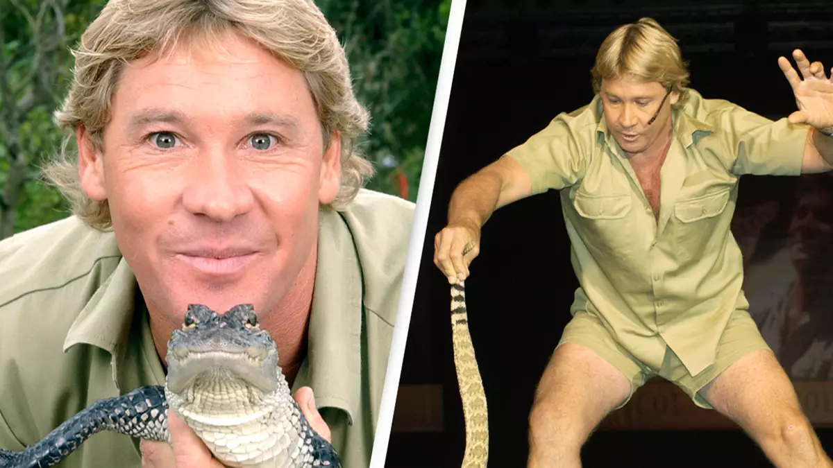 Steve Irwin’s cameraman relived the Crocodile Hunter’s tragic remaining moments