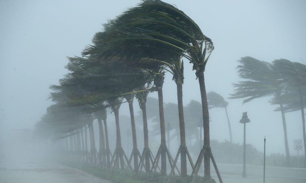 Necessary Evacuation Zones Throughout Hurricane Milton – Hollywood Life