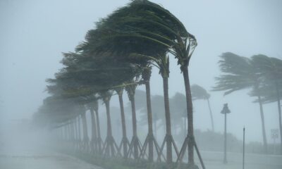 Necessary Evacuation Zones Throughout Hurricane Milton – Hollywood Life