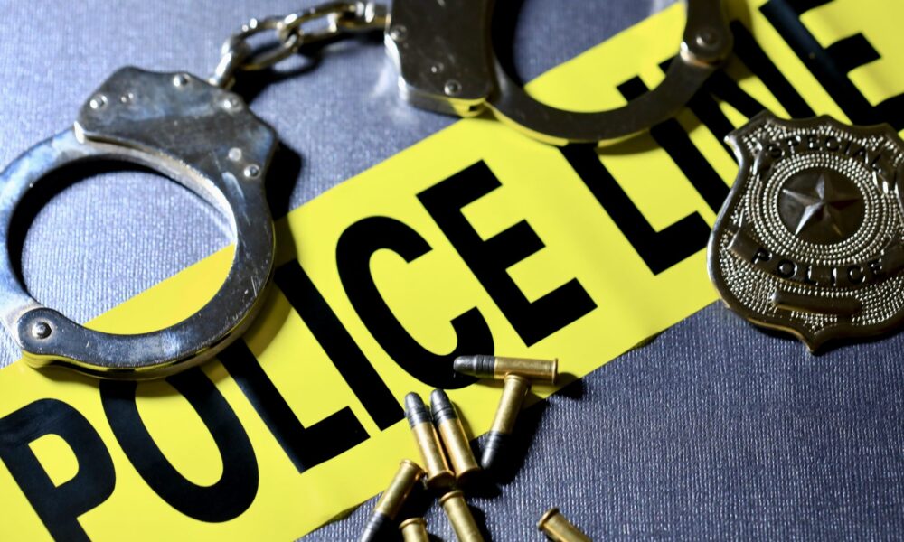 Tiffanie Lucas Pleads Responsible To Capturing Of Her Two Younger Sons