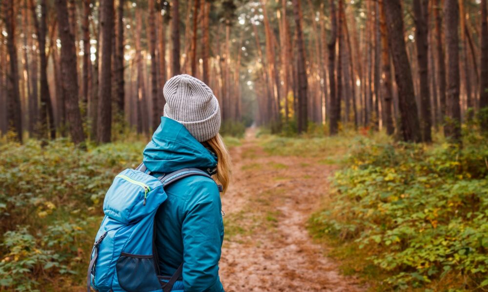 The Rule Of Three That’ll Assist Individuals Discover You If You are Misplaced In The Woods