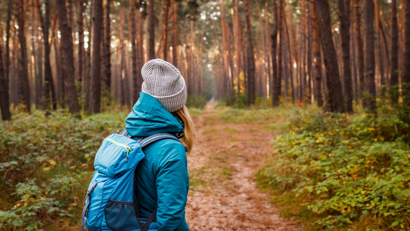The Rule Of Three That’ll Assist Individuals Discover You If You are Misplaced In The Woods The Rule Of Three That’ll Assist Individuals Discover You If You are Misplaced In The Woods