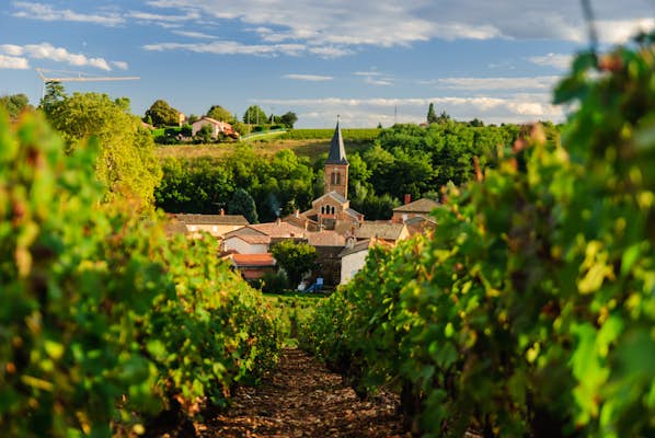 A primary-time information to Beaujolais