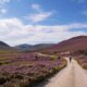 Greatest time to go to Scotland