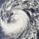Hurricane Milton Regarded Downright Scary In Cancun And Different Holidays Spots In Mexico