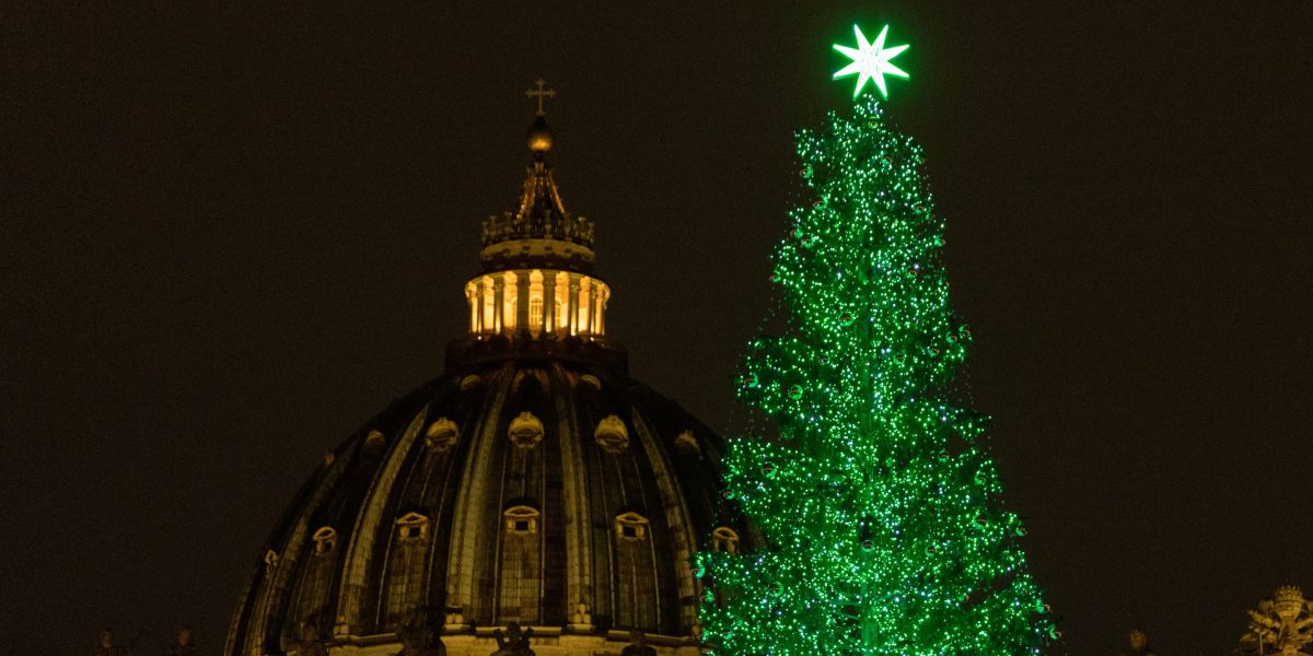 Vatican faces protests over its Christmas tree alternative