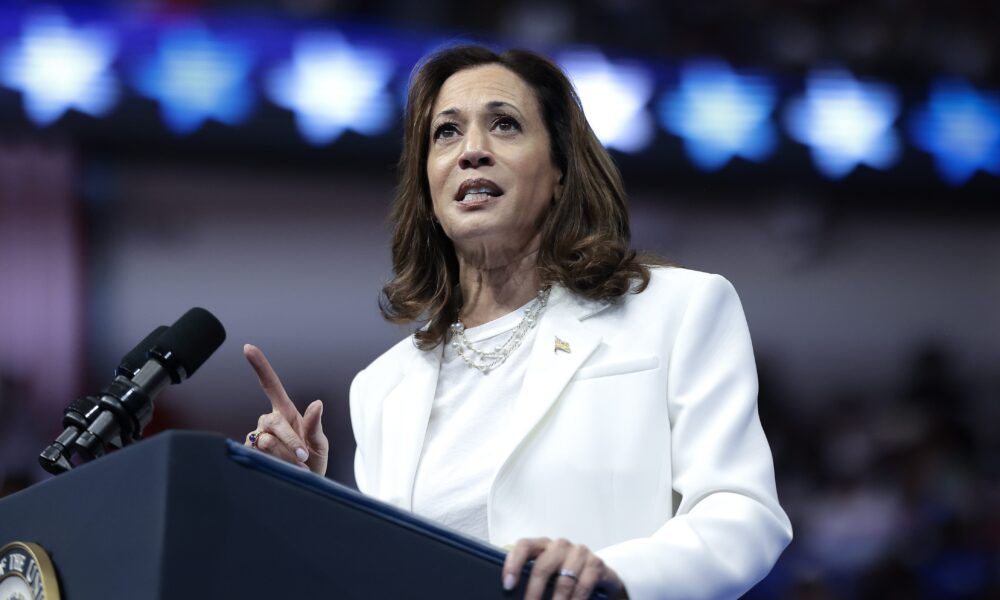Did Kamala Harris Concede the Election? Assertion Updates – Hollywood Life