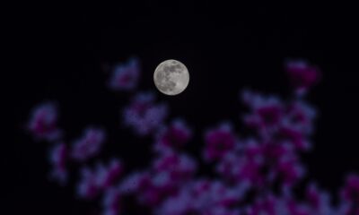 When Is the Final Supermoon of 2024? The whole lot About Beaver Moon – Hollywood Life