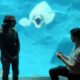 Beluga Whale Has Lovable Response to Proposal at Georgia Aquarium (Unique)