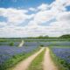 9 of one of the best locations to go to within the USA in spring 2025 9 of one of the best locations to go to within the USA in spring 2025