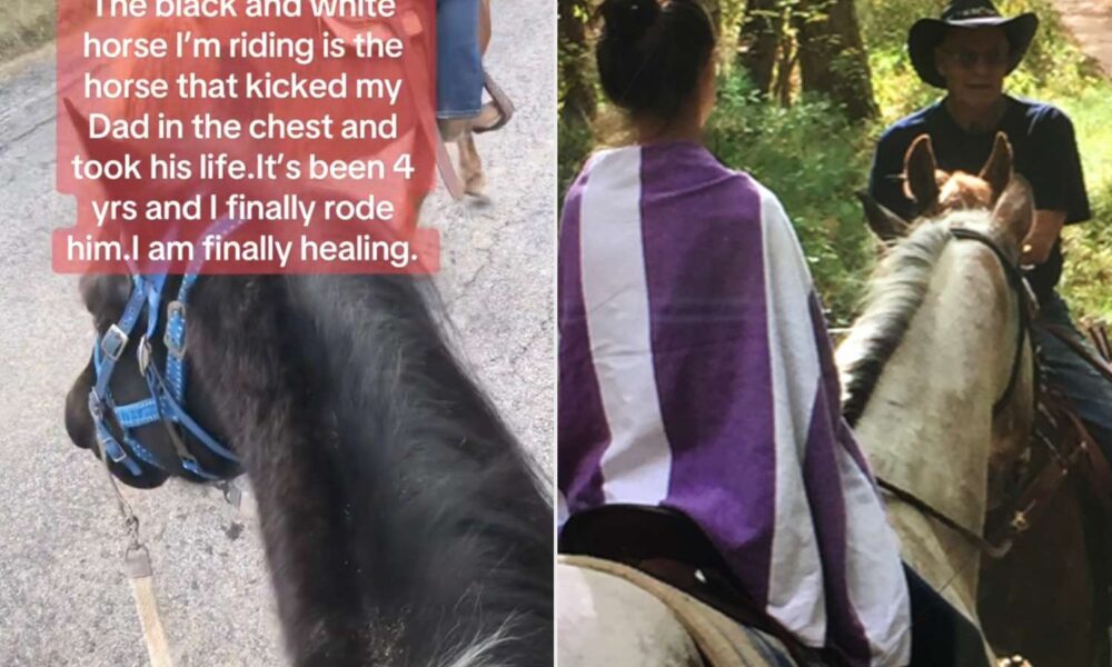 4 Years After Her Father’s Demise, Girl Rides the Horse Concerned within the Accident (Unique)