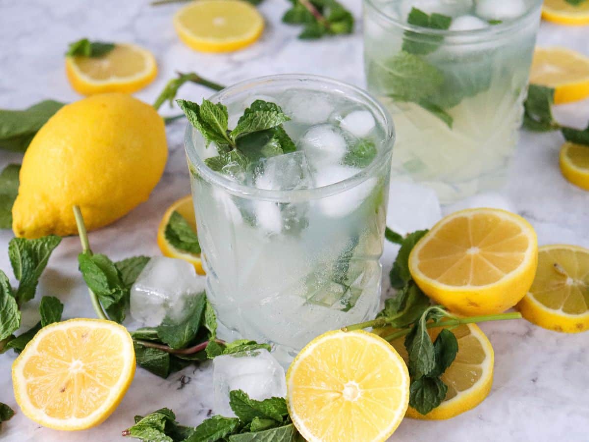Basic Mojito Mocktail with a Lemony Twist