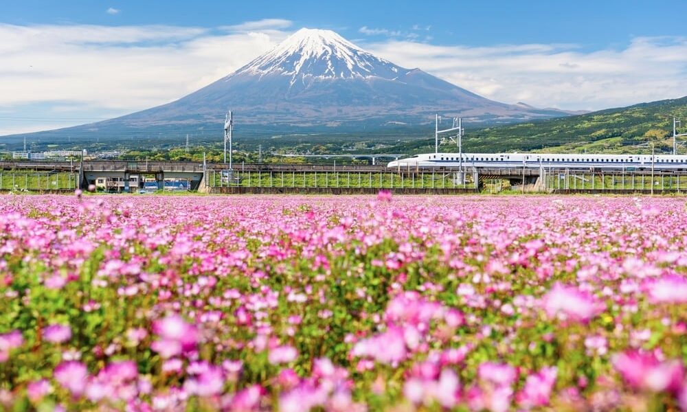 Ideas for Touring in Japan With Youngsters