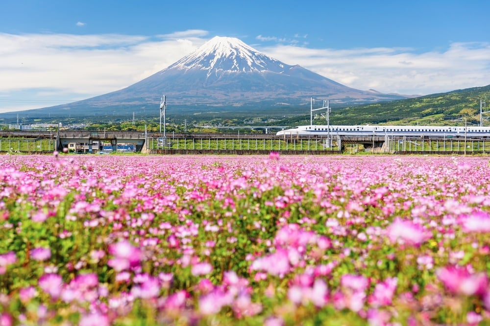 Ideas for Touring in Japan With Youngsters Ideas for Touring in Japan With Youngsters