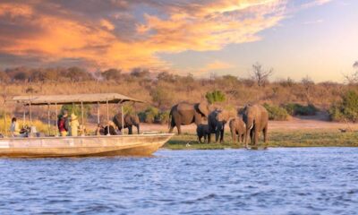 First-time information to a safari in Southern Africa