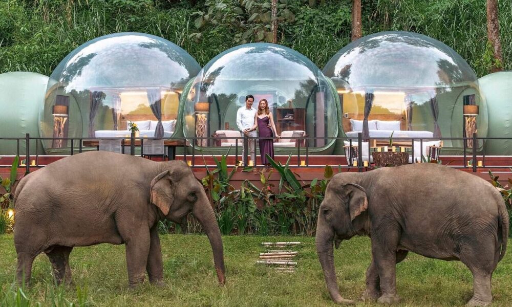 The World’s Most Uncommon Locations to Keep That You Will not Imagine Exist