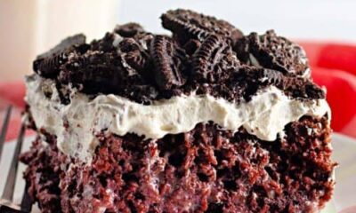 Fluffy, Moist, and Irresistible Truffles You Have to Strive