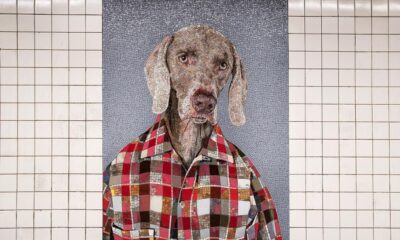5 Mosaics in america Value a Go to