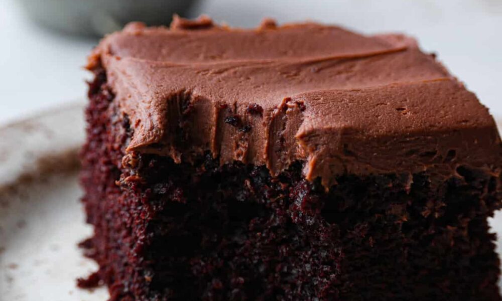 Chocolate Mayonnaise Cake | The Recipe Critic