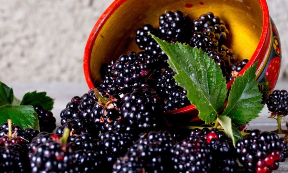 Final Low Carb Fruit Checklist