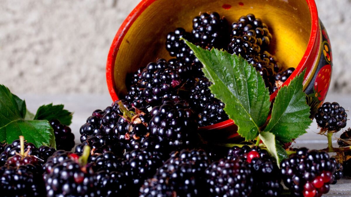 Final Low Carb Fruit Checklist