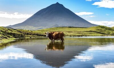 Information to the Azores – Lonely Planet