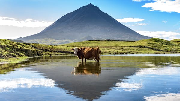 Information to the Azores – Lonely Planet