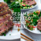 The way to make Sesame Crusted Tuna Tataki