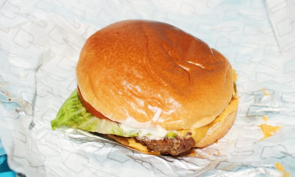 Ranked: Finest Cheeseburger From 5 Quick-Meals Chains