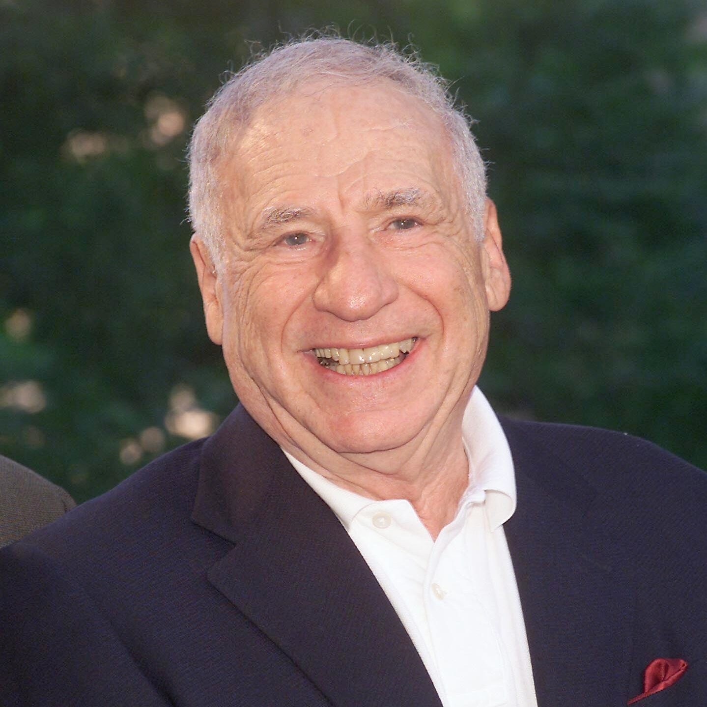 Mel Brooks Has an Omelet Recipe That is Value Shopping for Eggs For