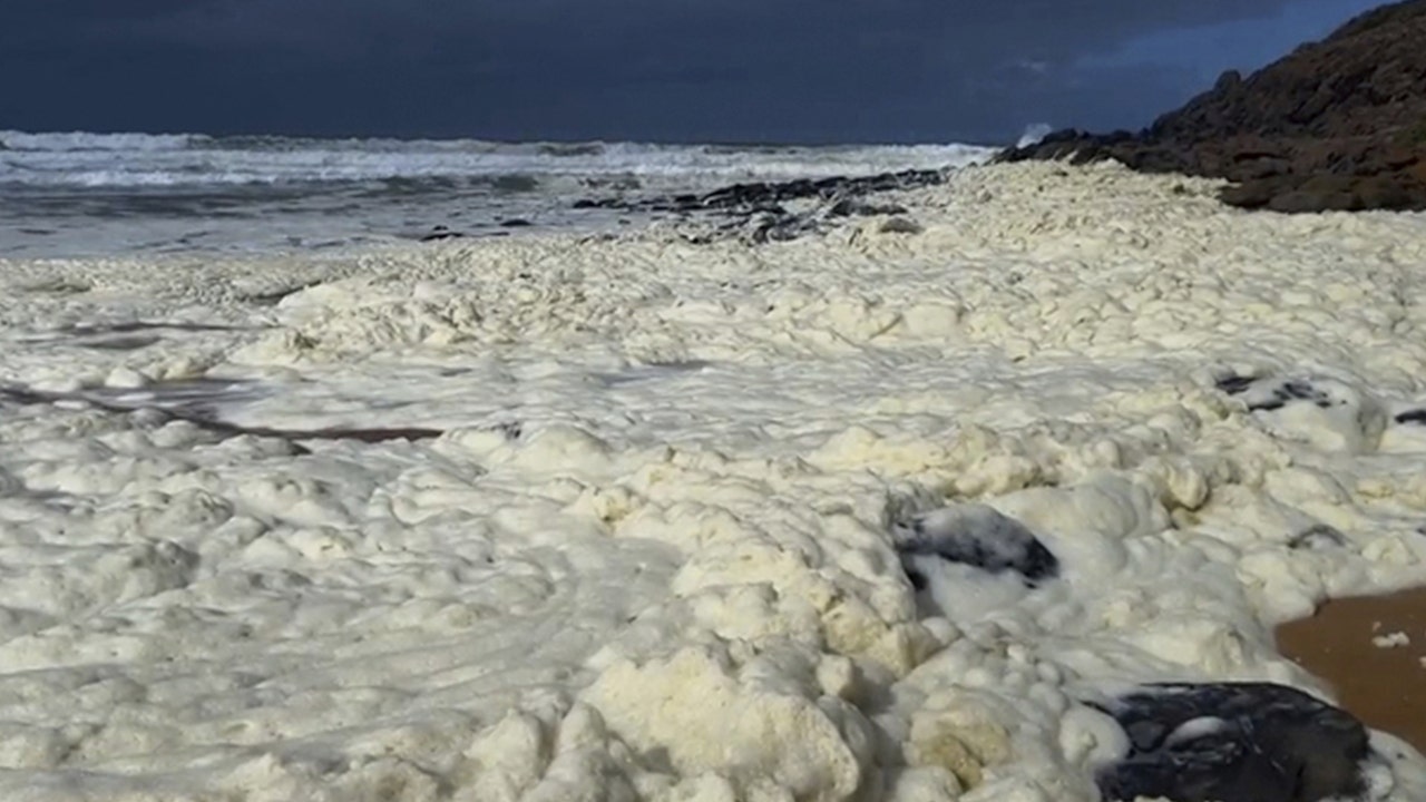 Beachgoers report falling ailing as mysterious foam and dozens of lifeless fish wash ashore