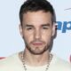 Liam Payne’s Alcohol Share at His Time of Dying Revealed