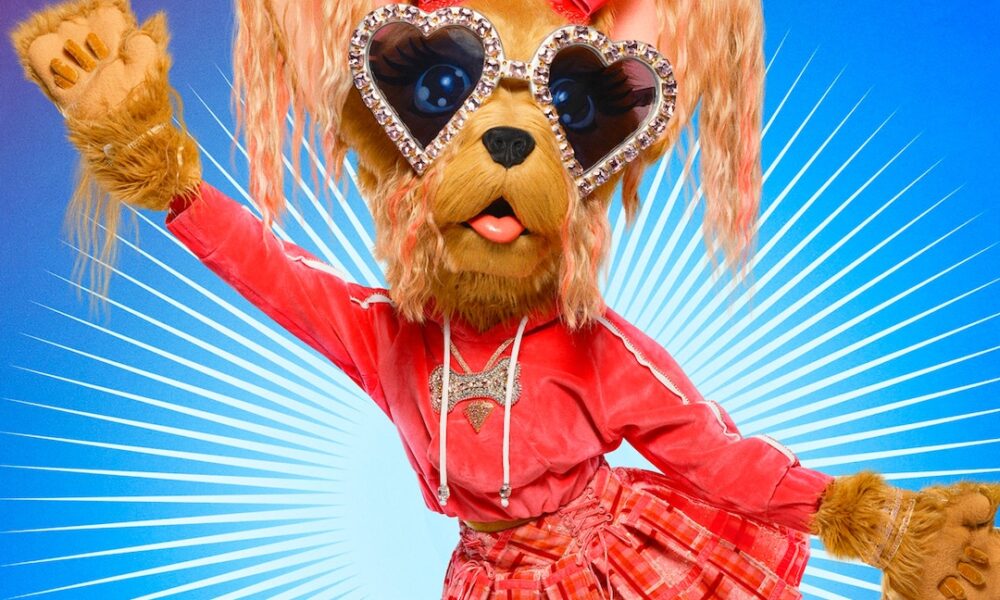 Who Is The Masked Singer’s Yorkie? Actual Housewife Revealed