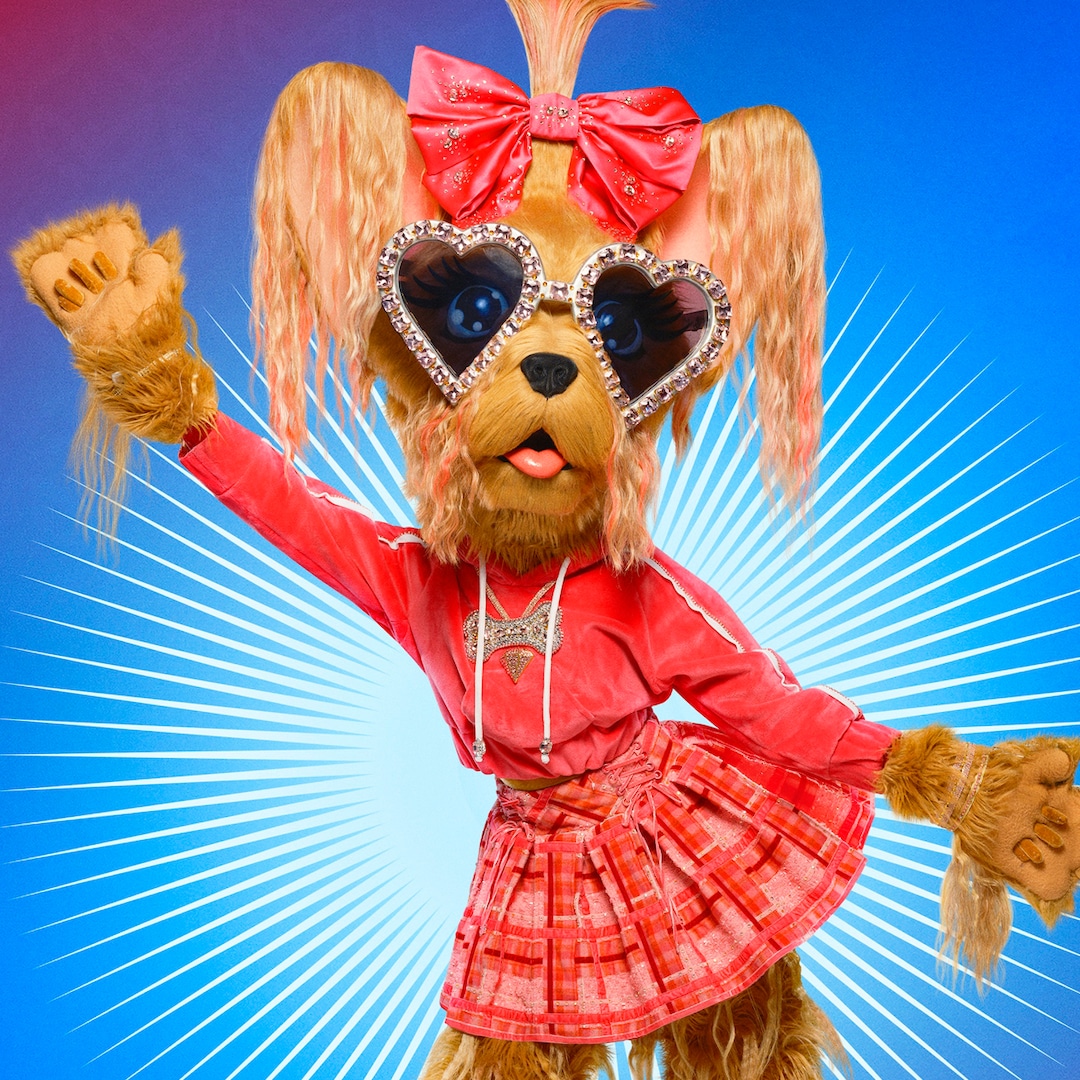Who Is The Masked Singer’s Yorkie? Actual Housewife Revealed Who Is The Masked Singer’s Yorkie? Actual Housewife Revealed