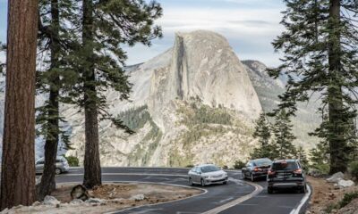 5 of one of the best street journeys in Yosemite Nationwide Park