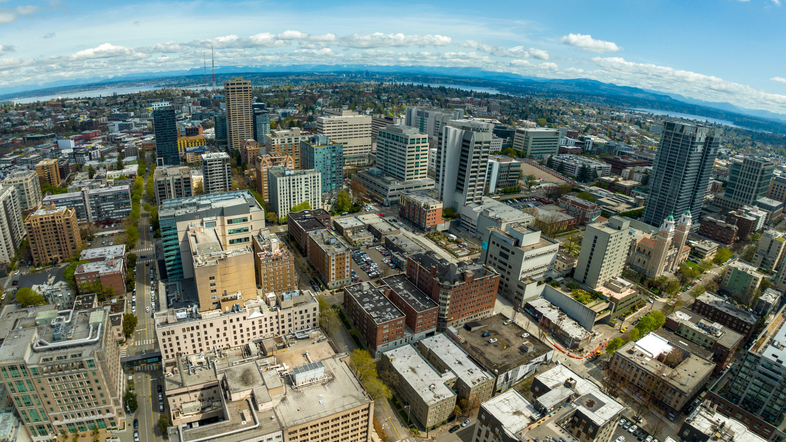 Seattle’s Most Charming Neighborhood Is A Walkable, Progressive Hub With Boutiques And Stylish Brunch