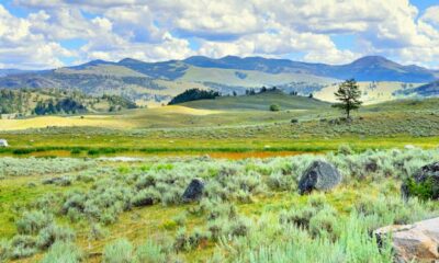 10 issues to know earlier than going to Yellowstone Nationwide Park