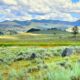 10 issues to know earlier than going to Yellowstone Nationwide Park