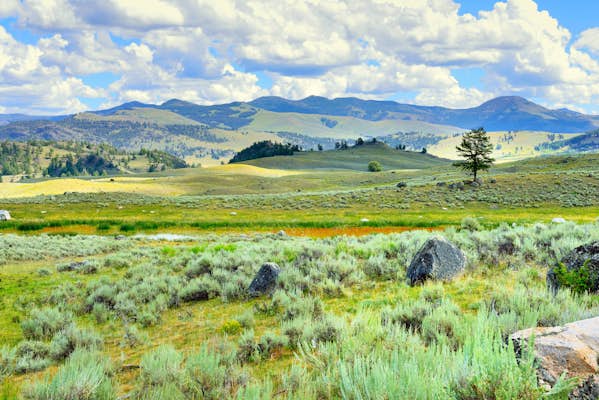 10 issues to know earlier than going to Yellowstone Nationwide Park
