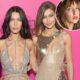 Gigi Hadid, Bella Hadid’s Half-Sister Aydan Nix Revealed
