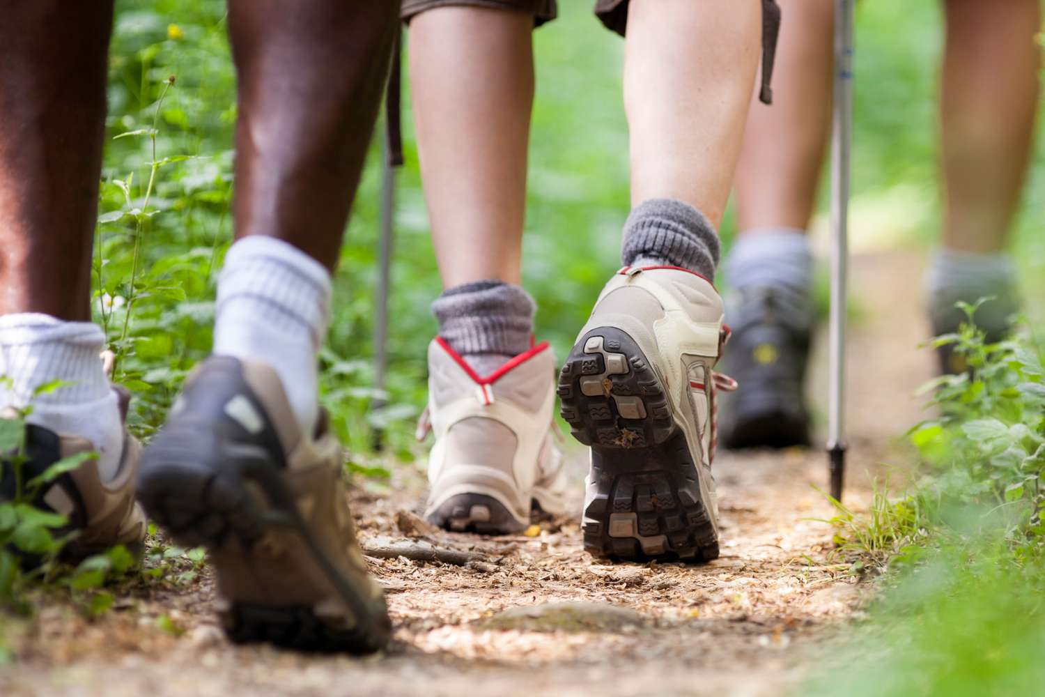 Misplaced Hikers on Mushrooms Name Police to Report Alive Pal’s Loss of life