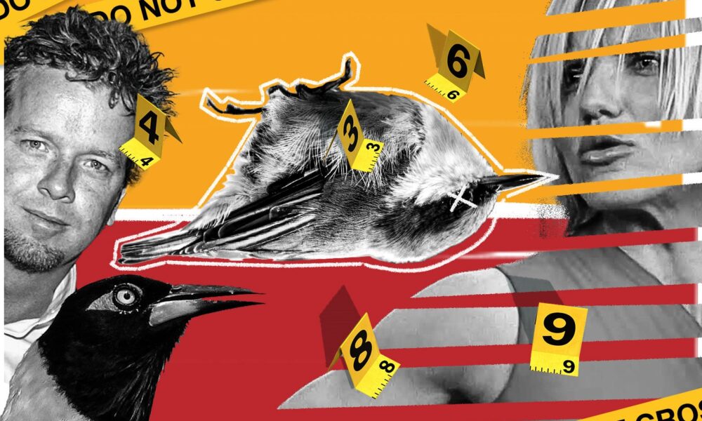 The story behind one of many weirdest errors in Hollywood historical past.