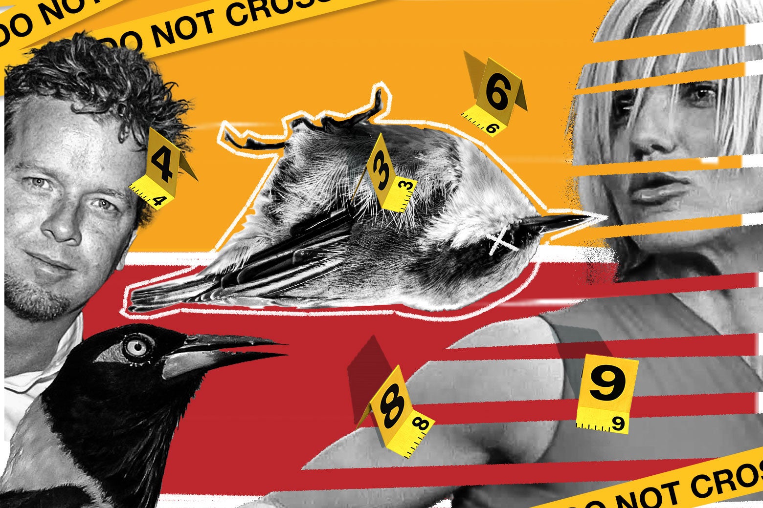The story behind one of many weirdest errors in Hollywood historical past.