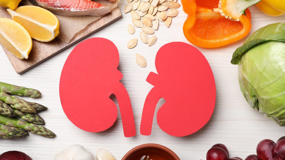 13 Greatest Superfoods to Increase Kidney Well being 13 Greatest Superfoods to Increase Kidney Well being